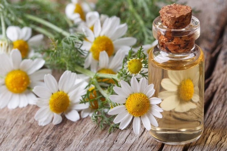 benefits of chamomile oil in baby massage